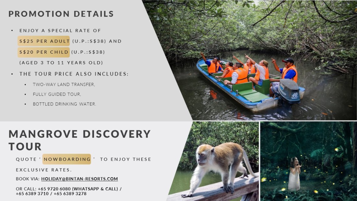 Mangrove Discovery Tour promotion